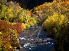 UTAH Autumn River
